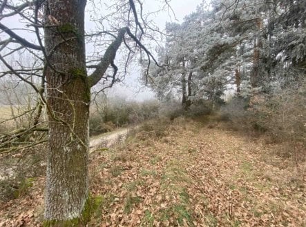 Prodej pozemku, zemědělská půda, 13 059 m²
