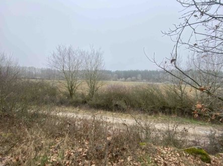 Prodej pozemku, zemědělská půda, 13 059 m²