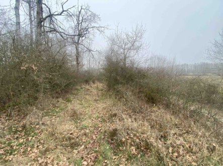 Prodej pozemku, zemědělská půda, 13 059 m²