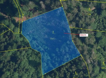 Prodej pozemku, les, 3 821 m²
