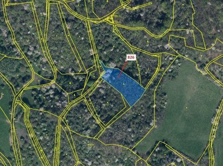 Prodej - pozemek, les, 4 610 m²