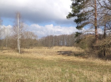 Prodej pozemku, trvalý travní porost, 117 m²