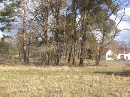 Prodej pozemku, trvalý travní porost, 117 m²