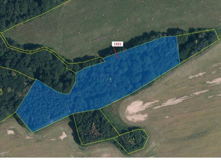 Prodej pozemku, les, 21 506 m²