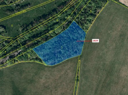 Prodej pozemku, les, 7 776 m²
