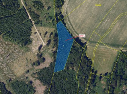 Prodej - pozemek, les, 6 169 m²