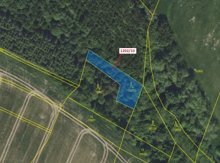 Prodej - pozemek, les, 557 m²