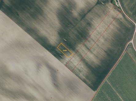 Prodej pozemku, zemědělská půda, 7 375 m²