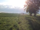 Prodej pozemku, zemědělská půda, 8 278 m²