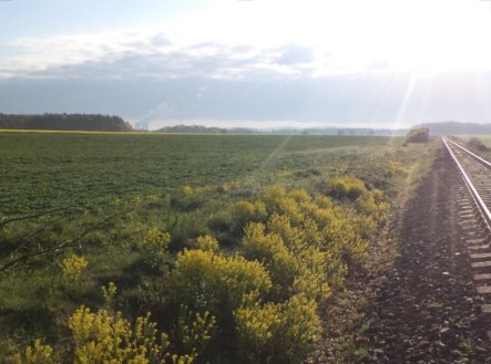 Prodej pozemku, zemědělská půda, 8 278 m²