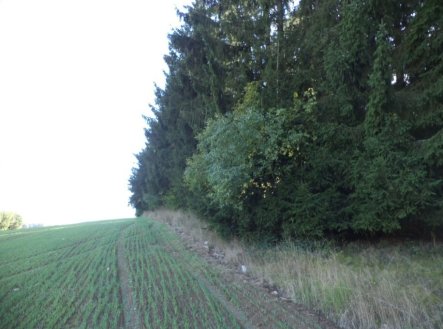 Prodej pozemku, trvalý travní porost, 2 385 m²