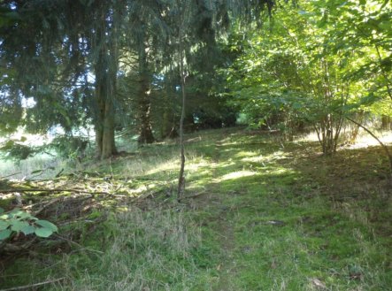 Prodej pozemku, trvalý travní porost, 2 385 m²