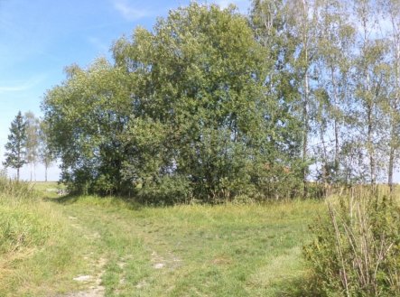 Prodej pozemku, trvalý travní porost, 620 m²