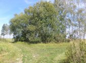 Prodej pozemku, trvalý travní porost, 620 m²