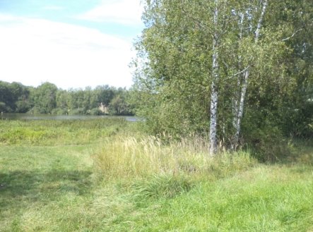 Prodej pozemku, trvalý travní porost, 620 m²