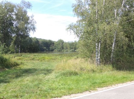 Prodej pozemku, trvalý travní porost, 620 m²