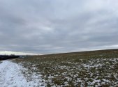 Prodej pozemku, zemědělská půda, 8 107 m²