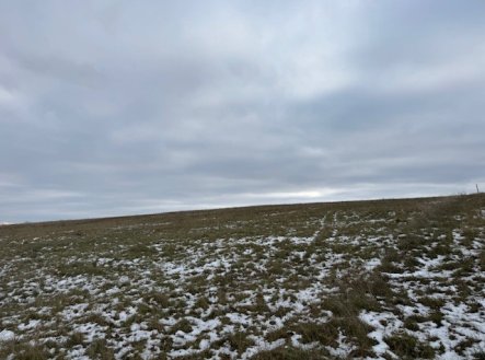 Prodej pozemku, zemědělská půda, 8 107 m²