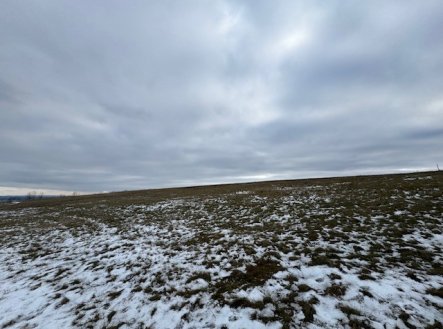 Prodej pozemku, zemědělská půda, 8 107 m²