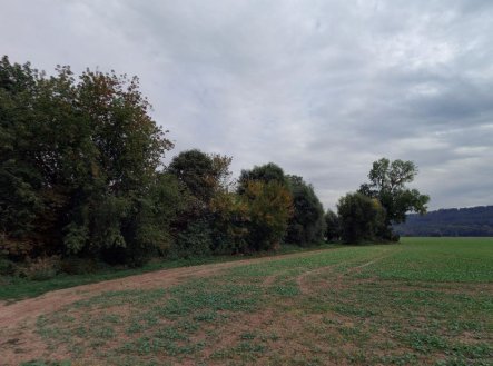 Prodej pozemku, les, 10 110 m²