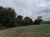 Prodej pozemku, les, 10 110 m²