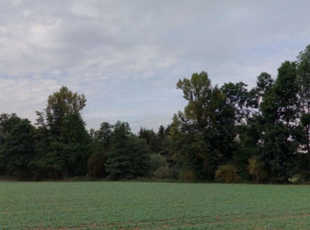 Prodej pozemku, les, 10 110 m²