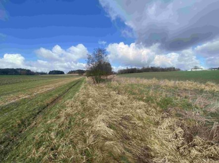 Prodej - pozemek, zemědělská půda, 5 555 m²
