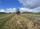 Prodej - pozemek, zemědělská půda, 5 555 m²