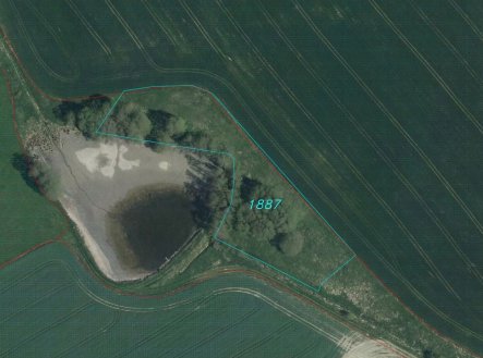 Prodej pozemku, zemědělská půda, 5 555 m²