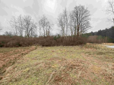 Prodej pozemku, ostatní, 2 121 m²