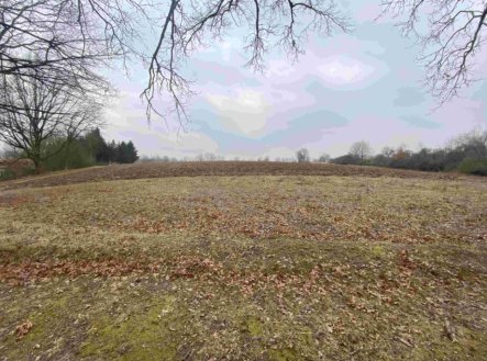 Prodej pozemku, ostatní, 2 121 m²