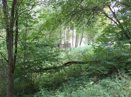 Prodej pozemku, trvalý travní porost, 1 755 m²
