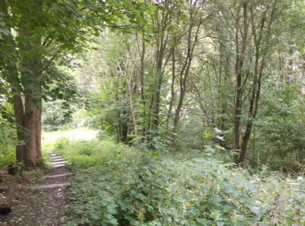 Prodej pozemku, trvalý travní porost, 1 755 m²