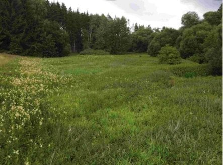 Prodej pozemku, trvalý travní porost, 22 334 m²