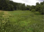 Prodej pozemku, trvalý travní porost, 22 334 m²