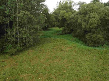 Prodej pozemku, trvalý travní porost, 22 334 m²