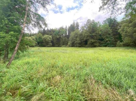 Prodej pozemku, trvalý travní porost, 22 334 m²