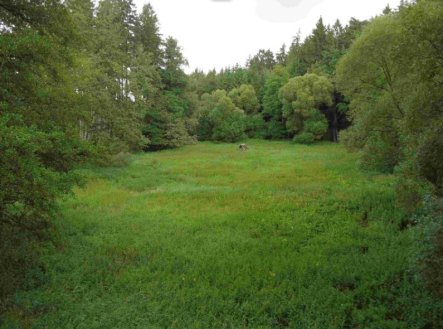 Prodej pozemku, trvalý travní porost, 22 334 m²