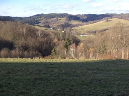 Prodej - pozemek, trvalý travní porost, 13 881 m²