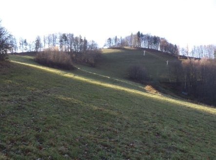 Prodej pozemku, trvalý travní porost, 13 881 m²