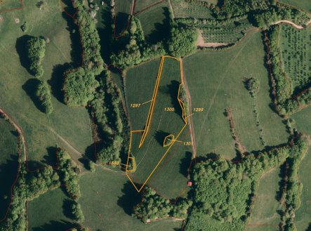 Prodej pozemku, trvalý travní porost, 13 881 m²