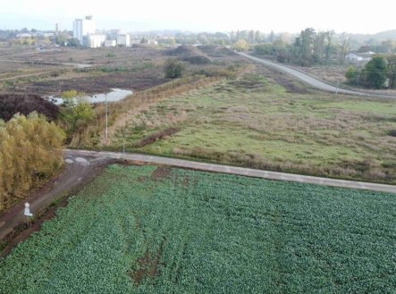 Prodej pozemku, ostatní, 3 824 m²