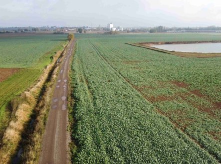 Prodej pozemku, ostatní, 3 824 m²