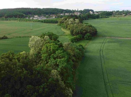 Prodej - pozemek, zemědělská půda, 5 266 m²