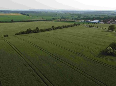Prodej pozemku, zemědělská půda, 5 266 m²