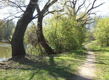Prodej - pozemek, ostatní, 326 m²