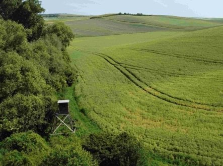 Prodej pozemku, trvalý travní porost, 3 134 m²
