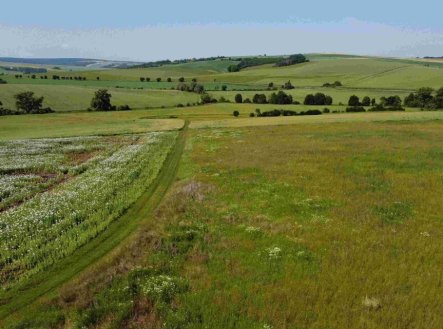 Prodej pozemku, trvalý travní porost, 3 134 m²
