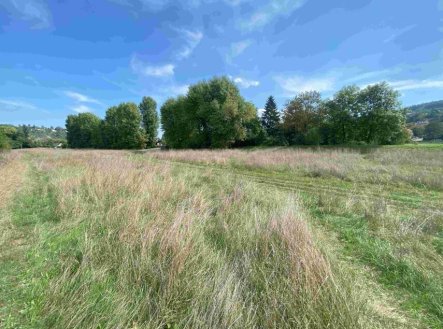 Prodej - pozemek, trvalý travní porost, 672 m²