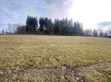 Prodej pozemku, trvalý travní porost, 3 624 m²
